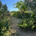 L'evasion Guiraudoise Villa-relaxation-nature Saint-Guiraud
